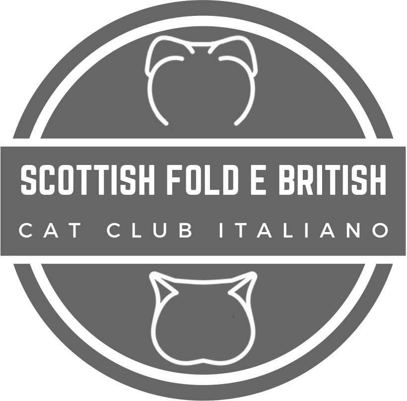 Scottish Fold e British Cat Club logo